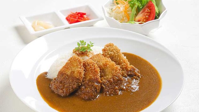 ヒレカツ カレー